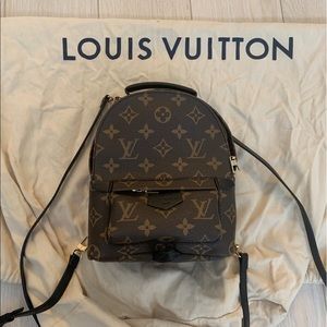 Louis Vuitton Palm Springs Backpack Mini